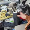 Lisa Sohns - @lisa.sohns - TikTok