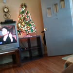 Lisa Solari Baggett - @solaribaggett - Instagram