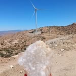 Ely Moran - @lisa.solis.923 - Instagram