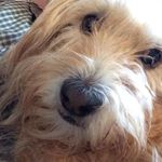 Lisa Spano- Barry - @lisa.s.barry.3 - Instagram