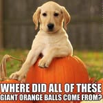 Lisa Spano Leventhal - @lisann1969 - Instagram