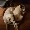 Monalisa - @lisa.marie.spates - TikTok