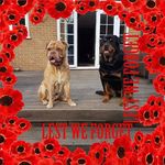 Lisa Spearman - @lisa.spearman.1297 - Instagram