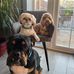 Lisa Spearman - Facebook