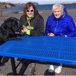 Lisa Sperling - @lksperling - Instagram