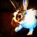 Lisa Spooner - @spoonmama123 - Instagram