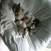 Lisa Squire - Facebook