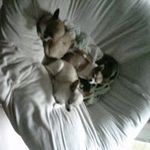 Lisa Squire - @lisa.squire.77 - Instagram