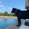 lisastaggs53 - @lisa.staggs3 - TikTok