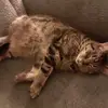 lisastaggs920 - @lisastaggs920 - TikTok