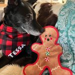Lisa Weir Stallman - @stallmanlisa - Instagram