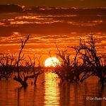 Lisa Standen Photography - @riverside_photographyco - Instagram