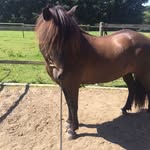 Erbsenprinzessin - @lisa_stecker_rv - Instagram