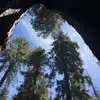 Lisa - @lisastenger57 - TikTok