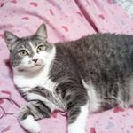 Lisa Stickney Lake - @stickneylake - Instagram