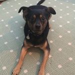 Lisa Stiff Donigian - @elsd26 - Instagram