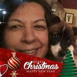 Lisa B Stoneking - @lisabstoneking - Instagram