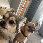 Lisa storer - @lisastorer1981 - Instagram