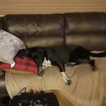 Lisa Strang - @strang1300 - Instagram