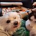 Lisa Strang - Facebook