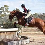 Lisa Streeter - @lisa.streeter.58 - Instagram