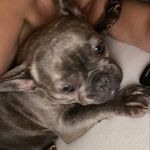 Lisa Stricker - @lisa_stricker_0404 - Instagram