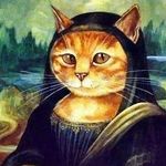 Lisa Stricker - @homealonepets1 - Instagram