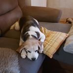 Elisabeth Strittmatter - Facebook