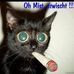 Strietsel Leo Lisa - Facebook