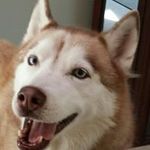 Lisa Stroh - @strohlisa - Instagram