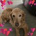 Lisa Struck - Facebook