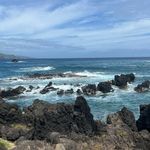 Lisa Stuart-Ford - @lisastuartford - Instagram