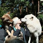 Lisa Studer - @imala1412 - Instagram
