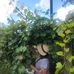 Lisa Meeler Summerlin - Facebook