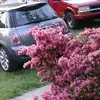 Lisa Summerlin - @lisa.summerlin7 - TikTok