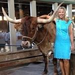 Lisa Haithcock Suttle - @lsuttleb - Instagram