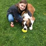 Lisa Taber Crozier - @ltbug99 - Instagram
