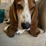 Lisa Bell Talbott - @lisabtalbott - Instagram