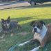 Lisa Miles Talbott - Facebook