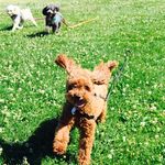 Lisa Talbott - @talbott.lisa - Instagram