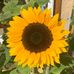 Lisa Talbott - Facebook