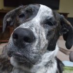 Lisa Talbott - @ltalbott32 - Instagram