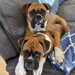 Lisa Talbott - @ltalbott73 - Instagram