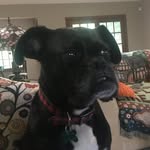 Lisa Tebbe - @pieceoflisisback - Instagram