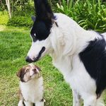 Lisa e Teddy - @lisaeteddy - Instagram