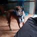 Lisa Terwilliger - Facebook