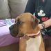 Lisa Terwilliger - Facebook
