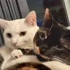 Lisa Thacker - @lisa.thacker7 - TikTok