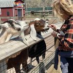 Lisa Thacker Grace - @mamagracie03 - Instagram