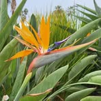 Lisa Thien - Facebook